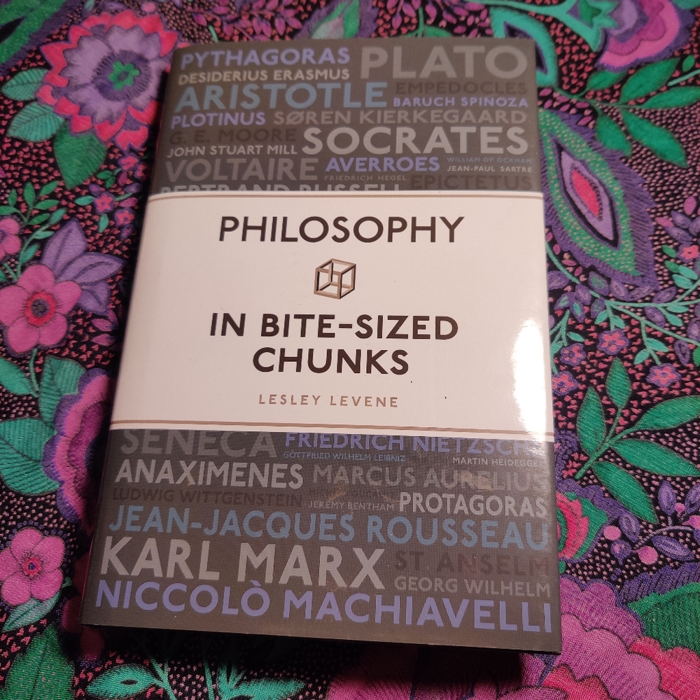 Philosophy in Bite-Sized Chunks by Lesley Levene